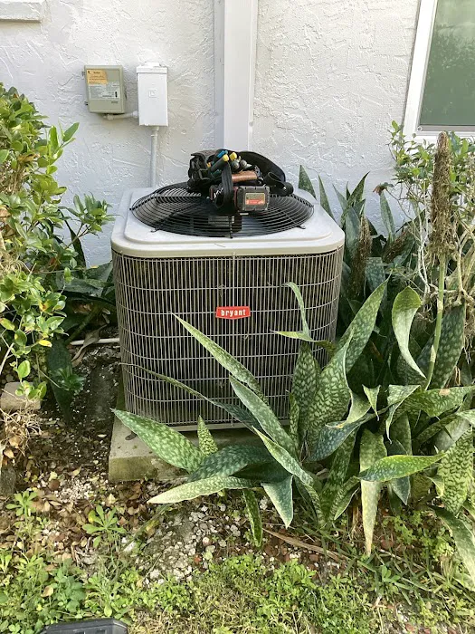 Custom Climate Picture 2