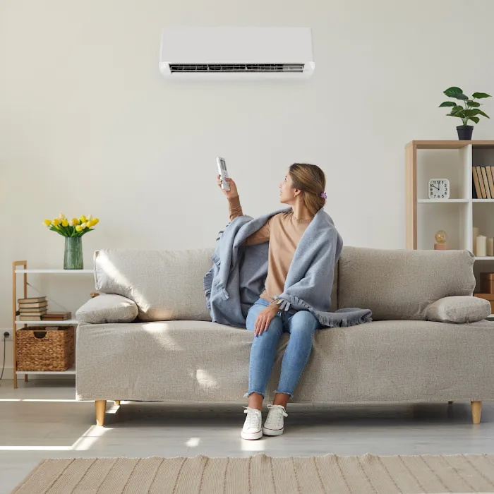 Custom Climate Picture 9