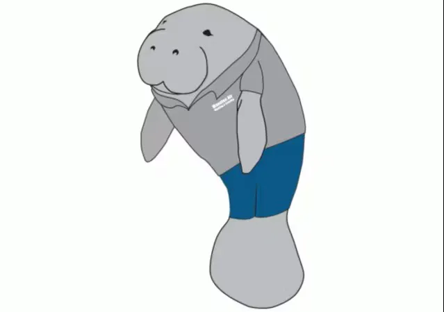 Manatee Air Heating & Cooling Inc Picture 2