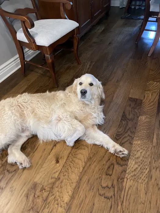 Modern Air & Refrigeration Picture 2