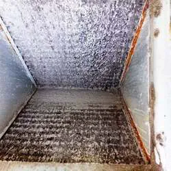 Forest Air Conditioning & Heating Picture 5