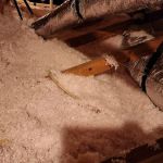 AIRFIX HVAC SERVICES LLC