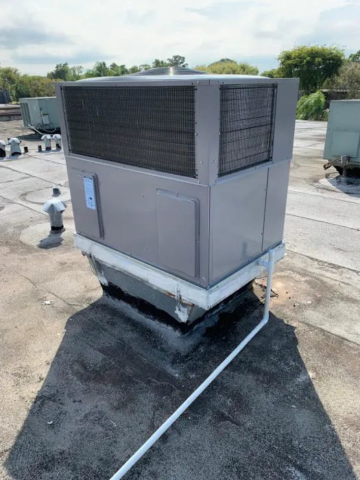 Immaculate Air Picture 5