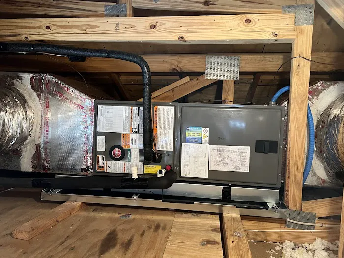 Immaculate Air Picture 6