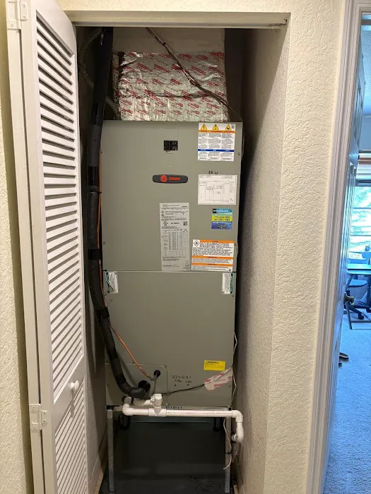 Immaculate Air Picture 10