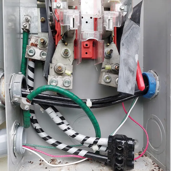 Michael j electric Picture 2