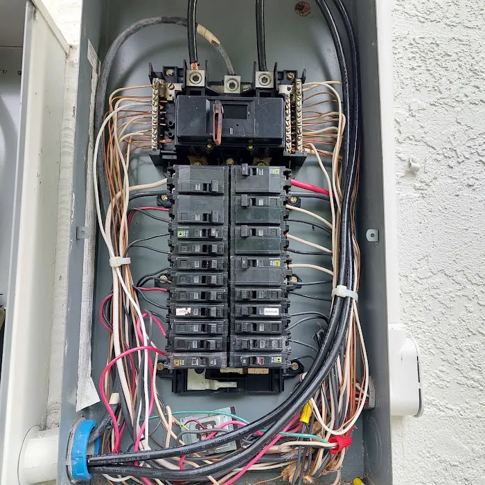 Michael j electric Picture 4