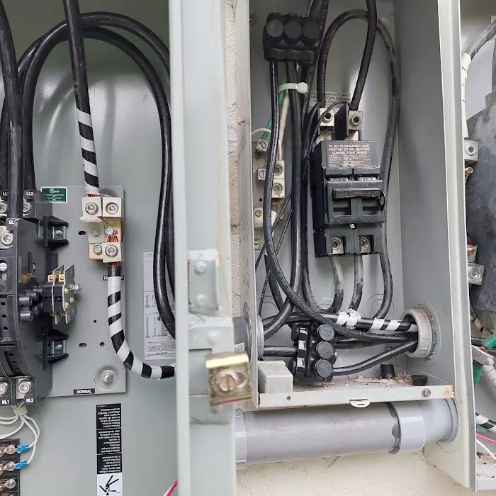 Michael j electric Picture 10