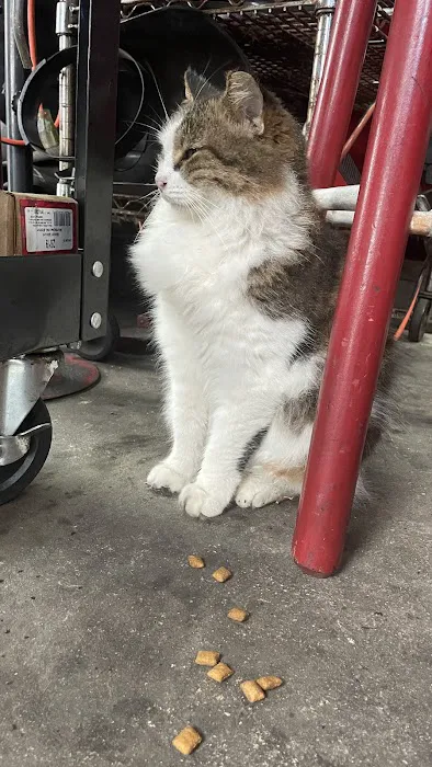 Ice Cold Air Discount Auto Repair Picture 6