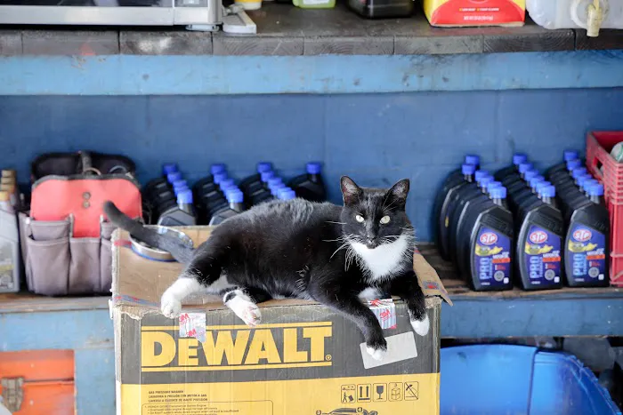 Ice Cold Air Discount Auto Repair Picture 7