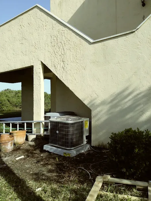 Great Dane Picture 4