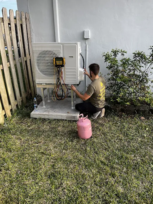 Great Dane Picture 2