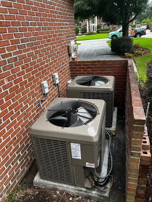 Great Dane Picture 5