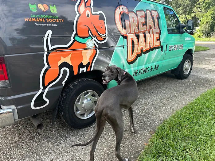 Great Dane Picture 6