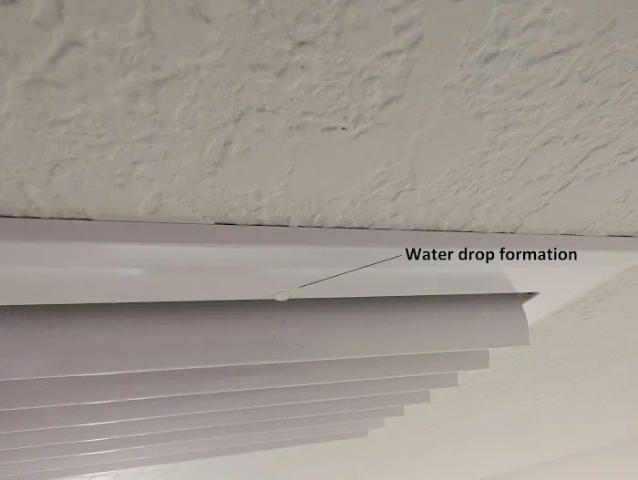 Mike Morello Inc. Picture 1