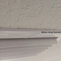 Mike Morello Inc. ico