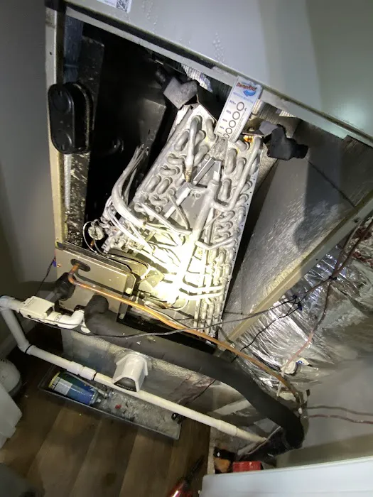 Dave Does Air Picture 6