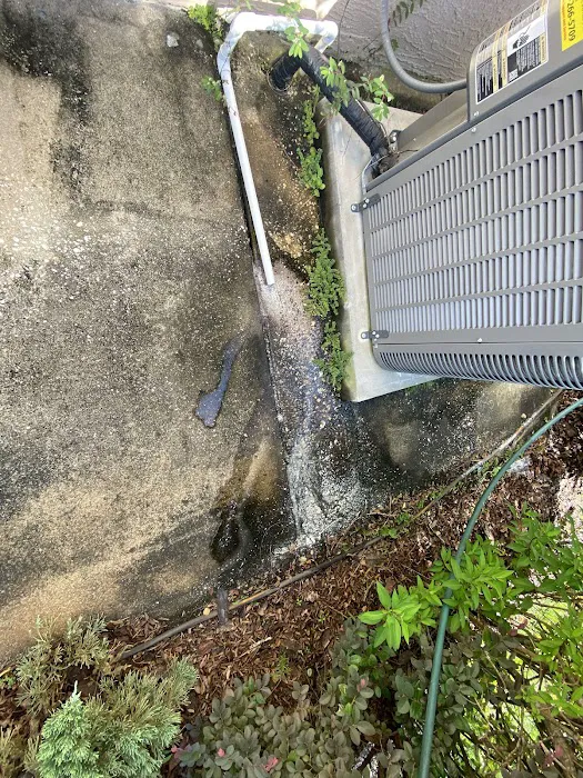 Dave Does Air Picture 10