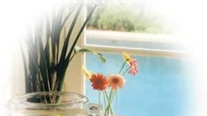 Capital City Air, Inc Picture 3