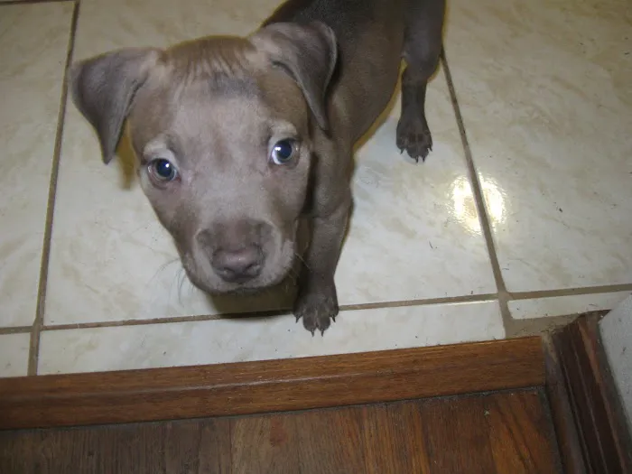 Payne's Air Conditioning & Heating Picture 6