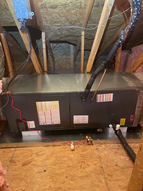 Bonds Elite Services, Inc. Picture 10