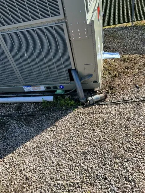 Bonds Elite Services, Inc. Picture 9