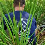 Watts Cooling, Heating & Plumbing