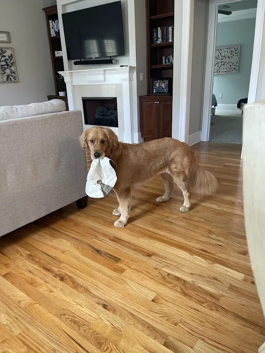 Donny's Heating and Air Picture 4