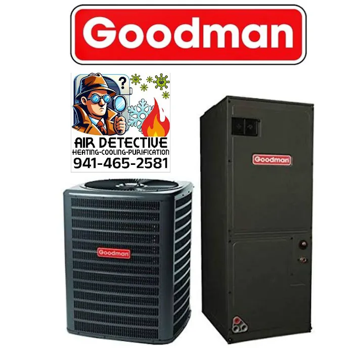 Air Detective Picture 10