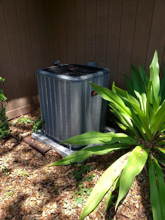 Arctic Air of Northern Florida Picture 5