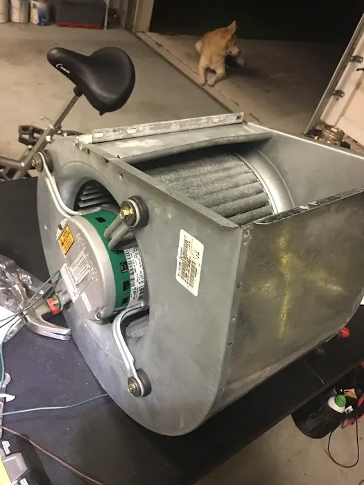 Arctic Air of Northern Florida Picture 2