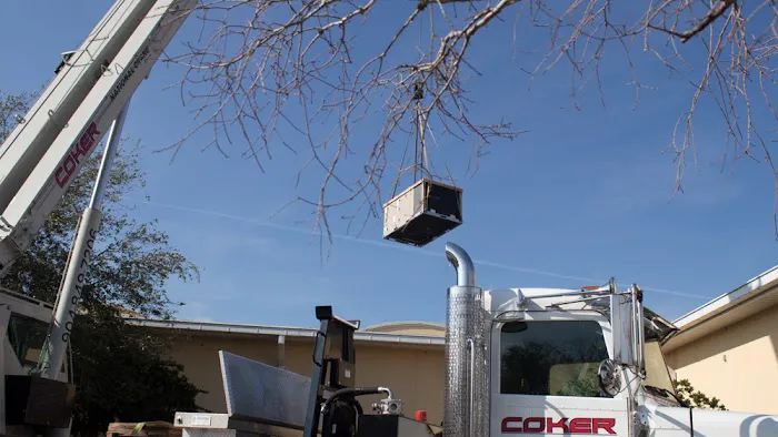 Arctic Air of Northern Florida Picture 10