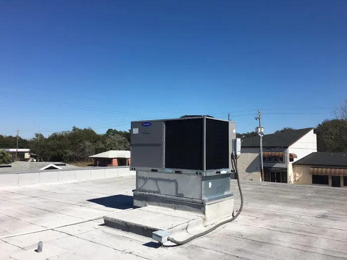 Arctic Air of Northern Florida Picture 9