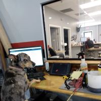 All Pro Automotive ico