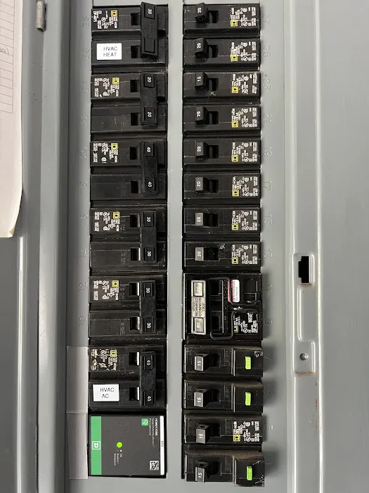 Miklos Electric Picture 2