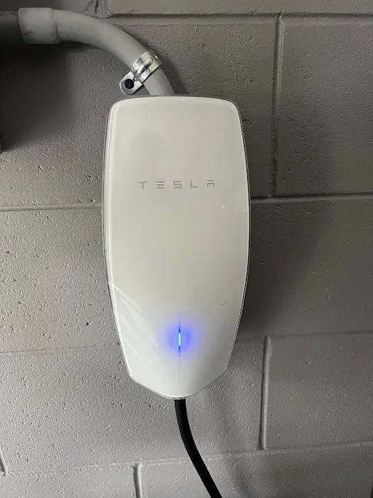 Miklos Electric Picture 3