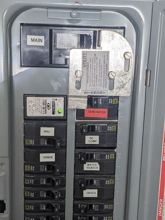 Miklos Electric Picture 6