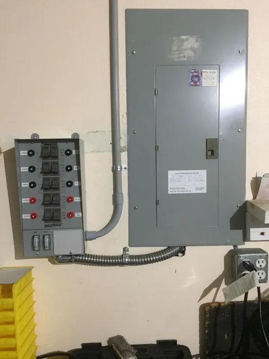 Miklos Electric Picture 8