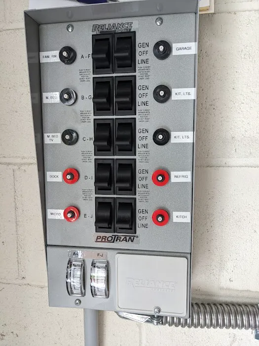 Miklos Electric Picture 10