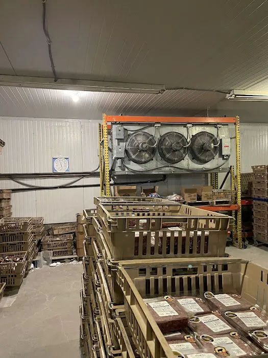 D&M Service Co. Picture 2