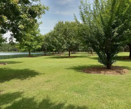 Bynum Heating & Cooling