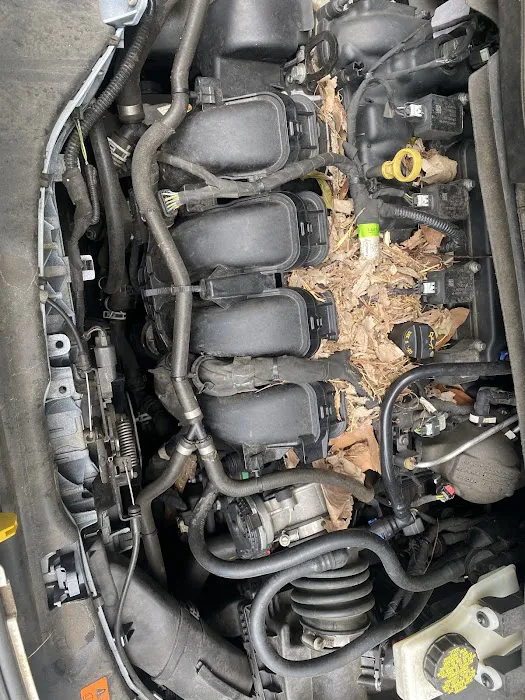 Faircloth Automotive & A/C Specialist Picture 1