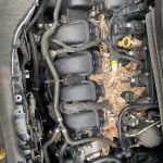 Faircloth Automotive & A/C Specialist