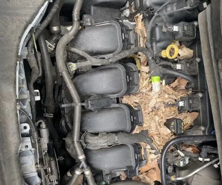 Faircloth Automotive & A/C Specialist