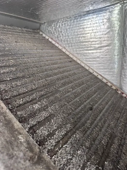 Air Experts Picture 4