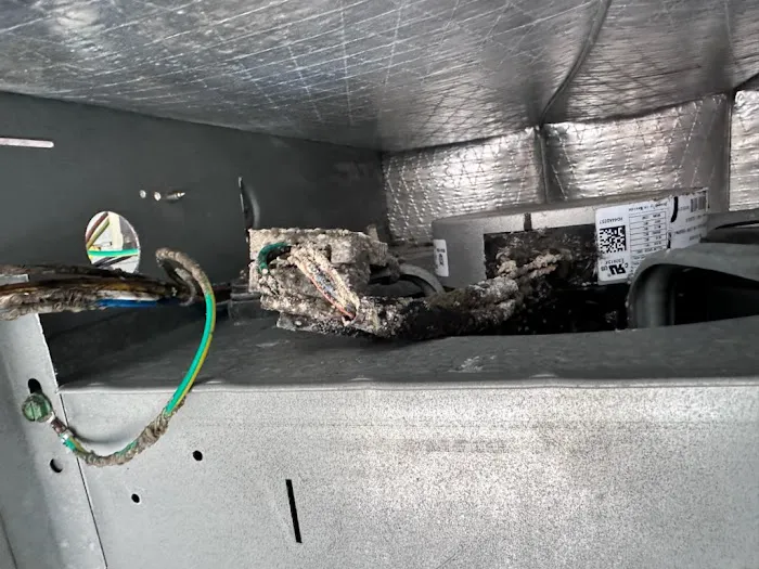 Air Experts Picture 5