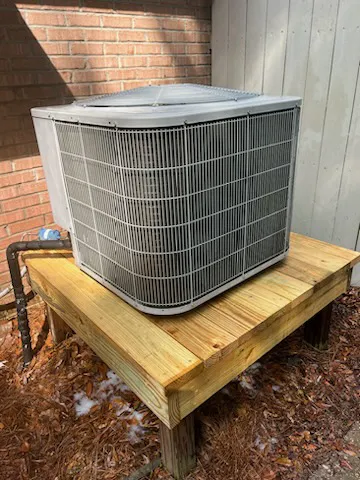 Backs Mechanical Picture 4