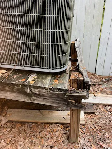 Backs Mechanical Picture 3