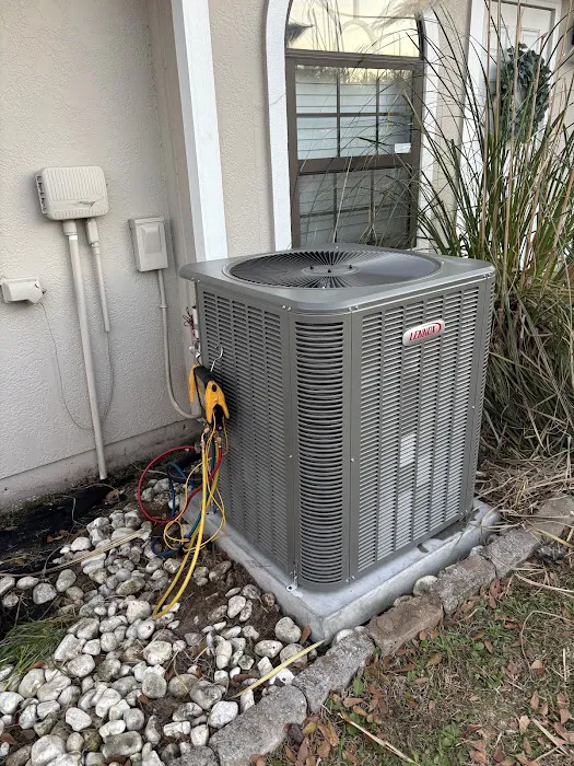 Backs Mechanical Picture 7