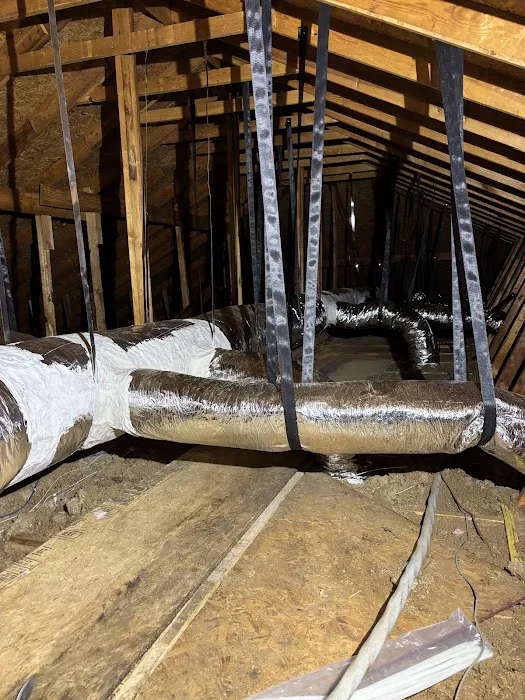 Backs Mechanical Picture 9